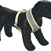 Шлея Beeztees Puppy Bronda M 746926