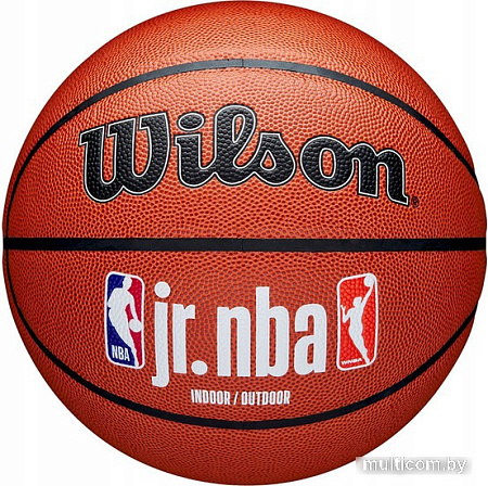 Баскетбольный мяч Wilson JR.NBA Fam Logo Indoor Outdoor WZ2009801XB7 (размер 7)
