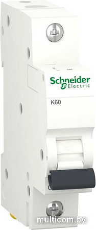 Выключатель автоматический Schneider Electric K60 A9K01132