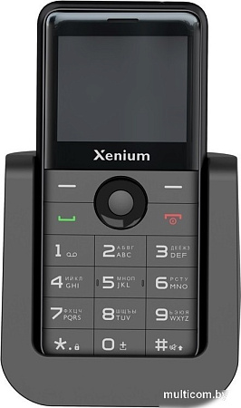 Кнопочный телефон Xenium X700 (черный)