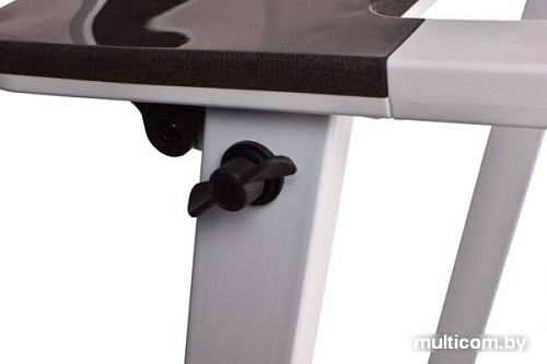 Беговая дорожка Evo Fitness Vector II