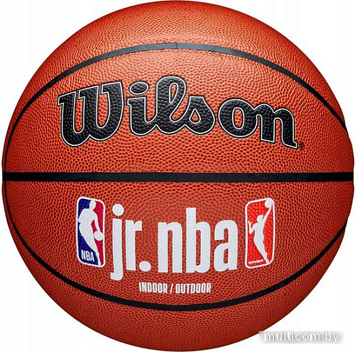 Баскетбольный мяч Wilson JR.NBA Fam Logo Indoor Outdoor WZ2009801XB7 (размер 7)