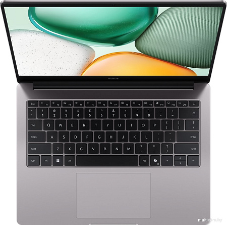Ноутбук HONOR MagicBook X14 Lite 2025 GDG-X 5301ALXB
