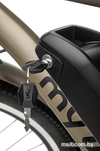 Электровелосипед MyWay Let 250 26 (бронзовый)