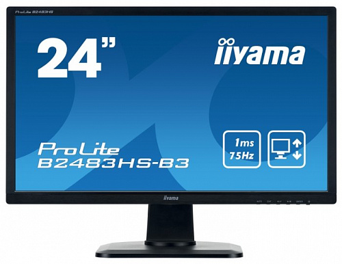 Монитор Iiyama ProLite B2483HS-3