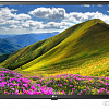 Телевизор LG 32LJ510U