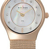 Наручные часы Skagen 233XSRR