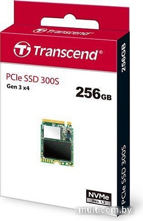 SSD Transcend 300S 256GB TS256GMTE300S