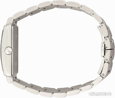 Наручные часы Emporio Armani AR11072