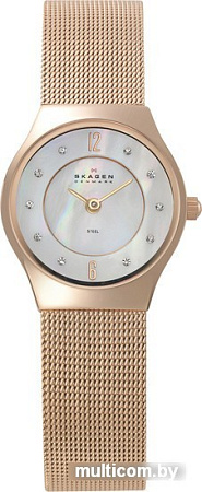 Наручные часы Skagen 233XSRR