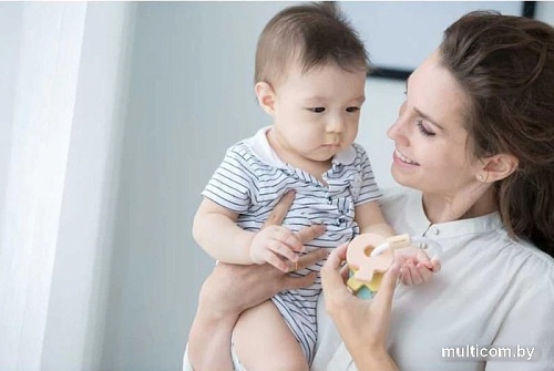 Погремушка Plan Toys Ключик 5251