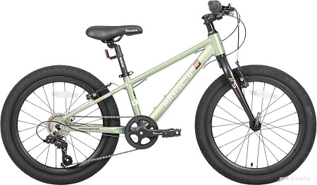 Детский велосипед Maxiscoo 5bike 20 M200 2025 MSC-M5-2011 (хаки)