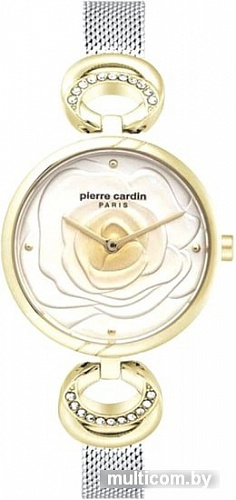 Наручные часы Pierre Cardin PC902762F03