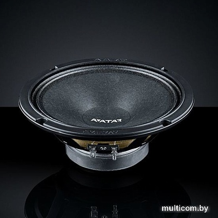Среднечастотная АС Avatar MBR-61