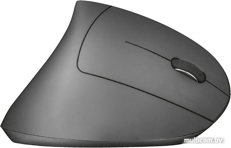 Мышь Trust Verto Wireless