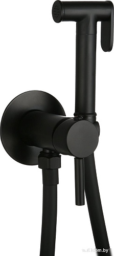 Гигиенический душ Roxen Santi 500940-B