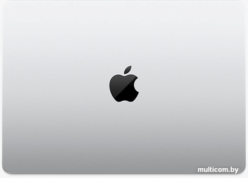 Ноутбук Apple Macbook Pro 14" M1 Pro 2021 MKGT3