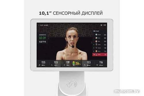 Велотренажер Yesoul BS3-B Pro BS3-W-10.1
