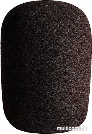 Микрофон Lewitt LCT 550