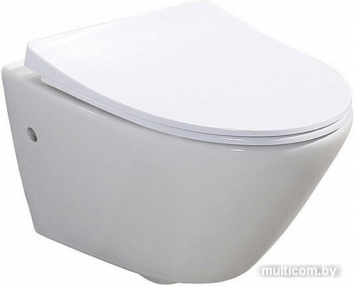 Унитаз BelBagno Alpha BB300CHR