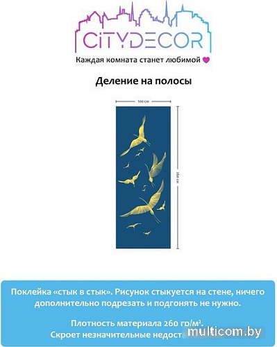 Виниловые обои Citydecor Perfect Lines 9 100x260