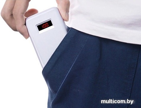 Портативное зарядное устройство Yoobao PD10 (белый)