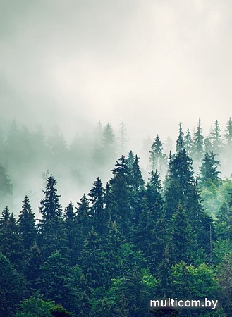 Фотообои Arthata листовые Fotooboi-2 (500x270)