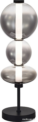 Настольная лампа ST Luce SL6119.404.18