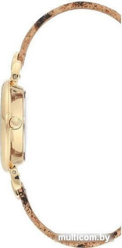Наручные часы Anne Klein 3660MPLE