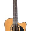 Акустическая гитара Fabio FB12 4120 NL