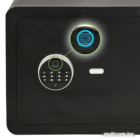 Мебельный сейф CACTUS CS-SF-F30