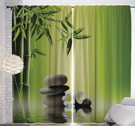 JoyArty Камни под бамбуком p_10022