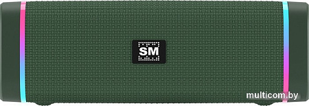 Беспроводная колонка Soundmax SM-PS5019B (зеленый)
