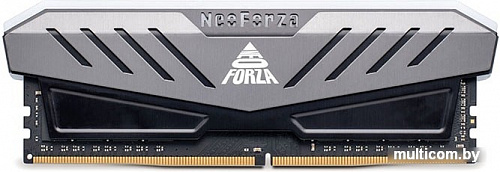 Оперативная память Neo Forza Mars 2x8GB DDR4 PC4-24000 NMGD480E82-3000DF20
