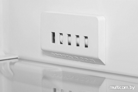 Холодильник BEKO RCSK250M00W