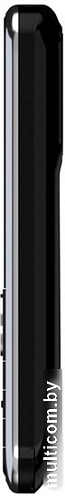 Maxvi P30 (черный)