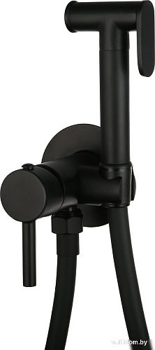 Гигиенический душ Roxen Santi 500940-B
