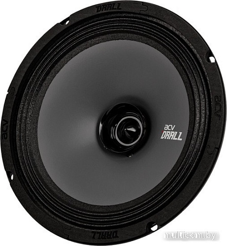 Широкополосная АС ACV DR8 Drall