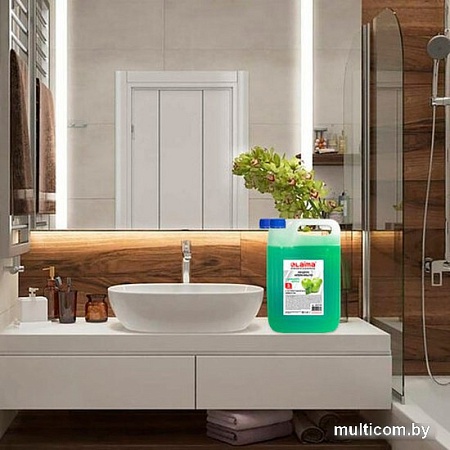 Laima Мыло жидкое Professional Яблоко 600189 5 л