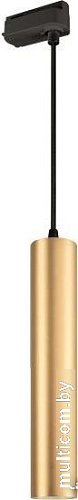 Трековый светильник Arlight LGD-PIPE-TRACK-HANG-2TR-R50-9W Day4000 037432