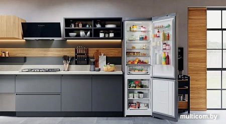 Холодильник Hotpoint-Ariston HTW 8202I MX