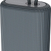 Беспроводная колонка Canyon CNE-CBTSP4DG