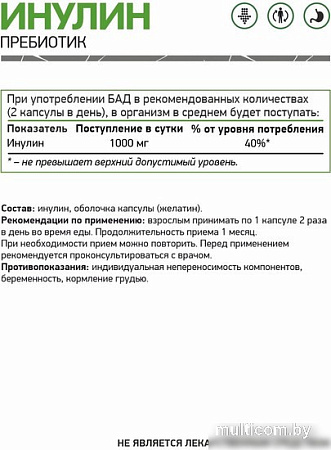 Витамины, минералы NaturalSupp Инулин (Inulin), 60 капсул