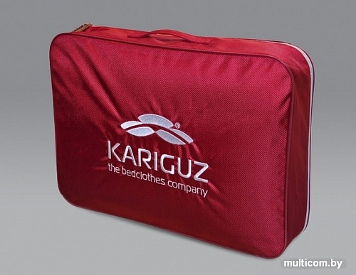 Спальная подушка Kariguz Био Пух БП10-5 (68x68 см)