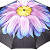 Зонт Rain Berry 734-23340.2 (черный/голубой)