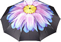 Зонт Rain Berry 734-23340.2 (черный/голубой)