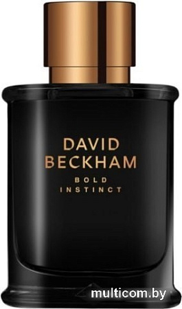 Парфюмерия David Beckham Bold Instinct EdT (50 мл)