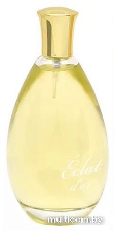 Туалетная вода Positive Parfum Eclat D`or EdT (100 мл)