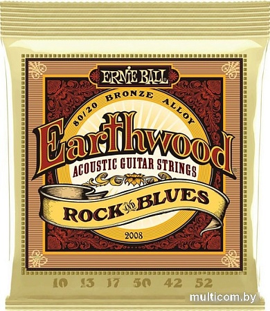 Струны для гитары Ernie Ball 2008