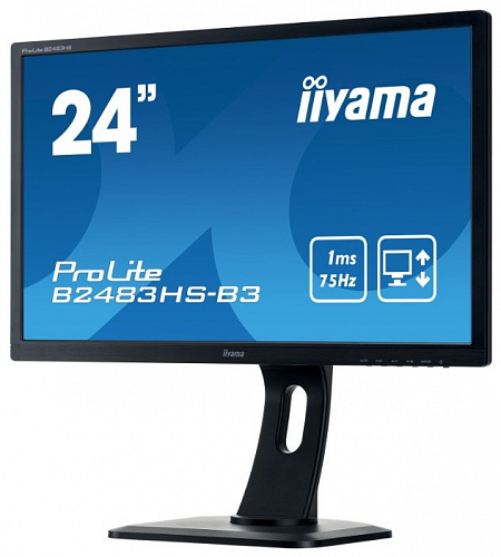 Монитор Iiyama ProLite B2483HS-3